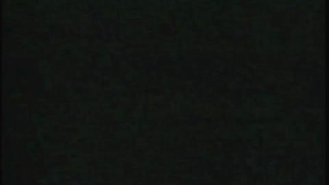9337
